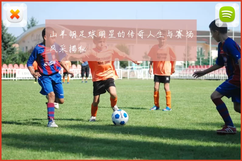 山羊胡足球明星的传奇人生与赛场风采揭秘